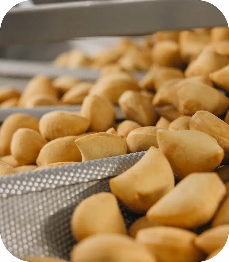 Produzione panzerotti Florigel